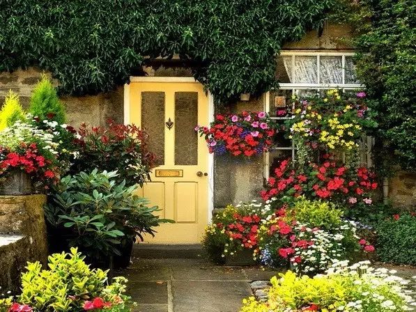 生活不止诗和远方的田野 ，还有家和门前的鲜花盛开