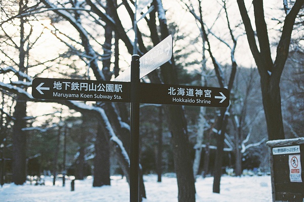 关于北海道的画面，特别适合冬天——北海道（一）|小樽和札幌